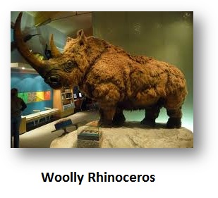 Did Cycle Theory Begin With The Discovery Of A Rhinoceros? | Armstrong